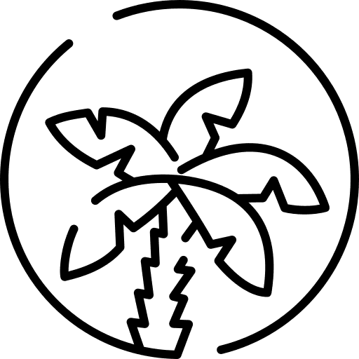 Palm trees affair la ferme des palmiers